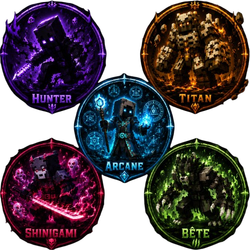 Les 5 classes SHINSEI